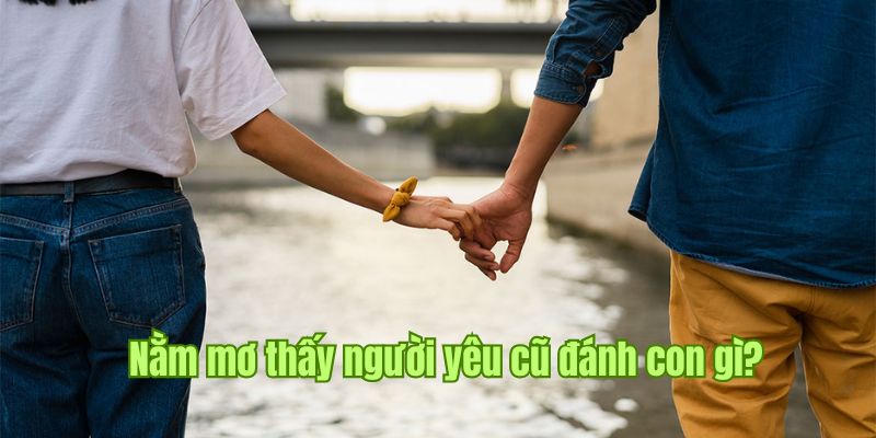 Nằm Mơ Thấy Người Yêu Cũ Bí Ẩn Được Tiết Lộ Qua Sin88 3 Những con lô đặc biệt từ chiêm bao thấy người tình từng quen